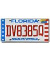 Tablica rejestracyjna USA Florida Veteran DV8385Q
