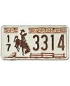 Tablica rejestracyjna USA Wyoming 1978 Fence 17-3314