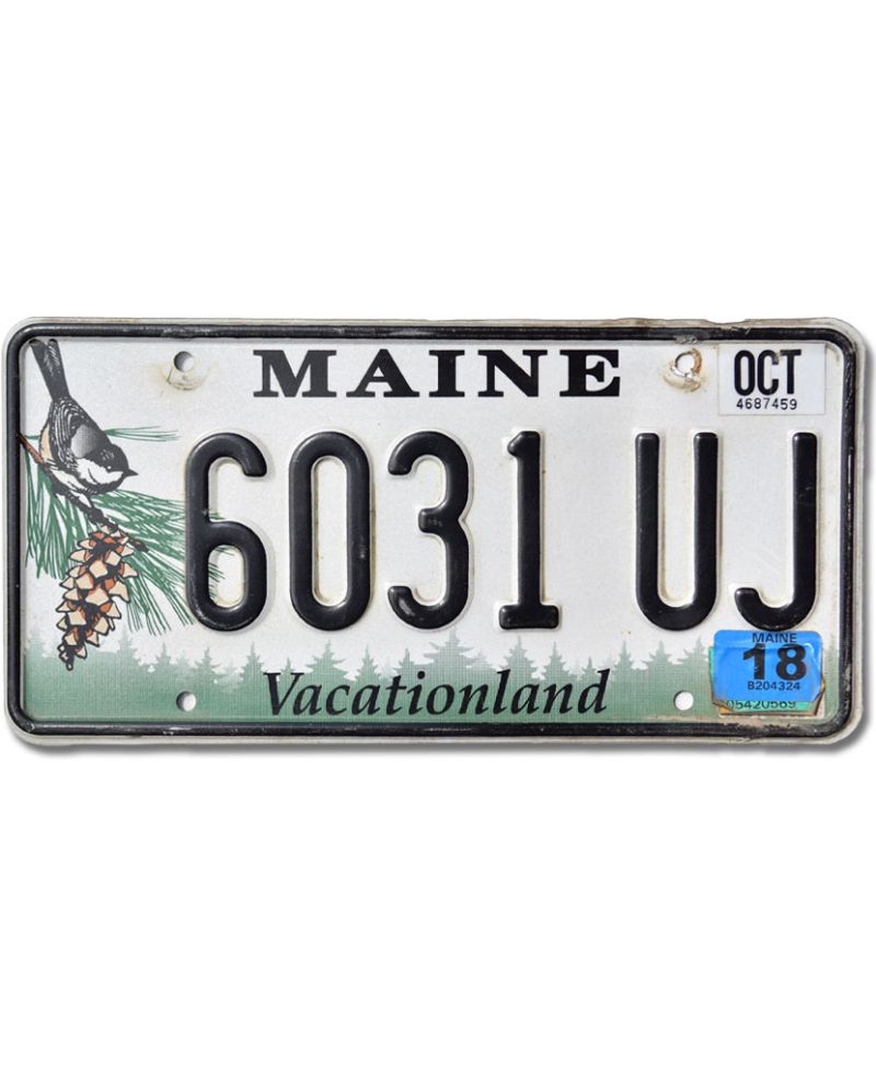 Tablica rejestracyjna USA Maine Chickadee 6031UJ