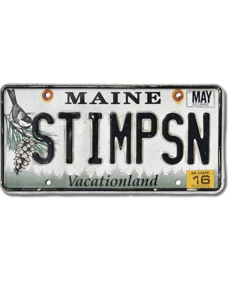 Tablica rejestracyjna USA Maine Chickadee STIMPSN