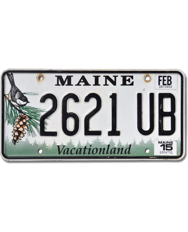 Tablica rejestracyjna USA Maine Chickadee 2621 UB