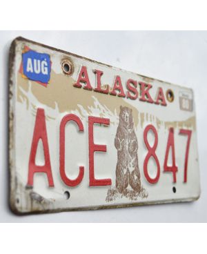 Tablica rejestracyjna USA Alaska 1981 Grizzly Bear ACE 847