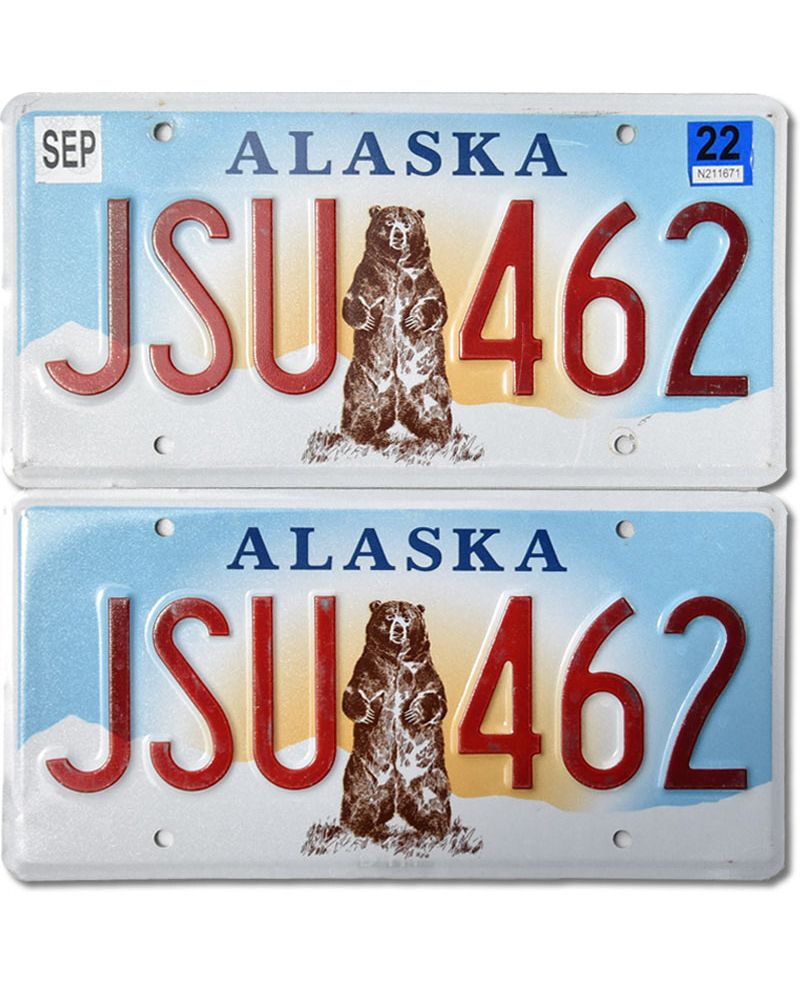 Tablica rejestracyjna USA Alaska Grizzly Bear JSU 462 para