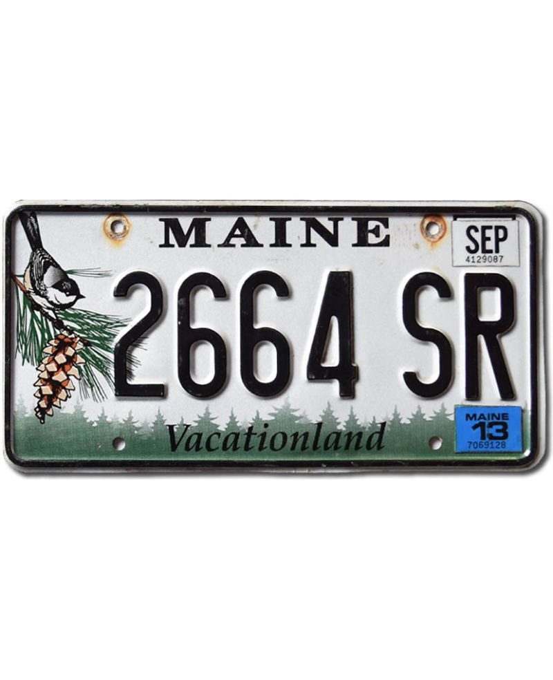 Tablica rejestracyjna USA Maine Chickadee 2664 SR