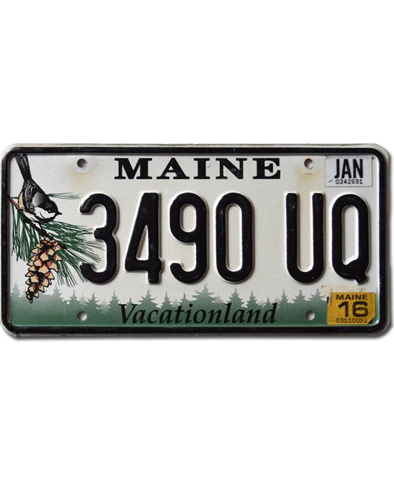 Tablica rejestracyjna USA Maine Chickadee 3490 UQ