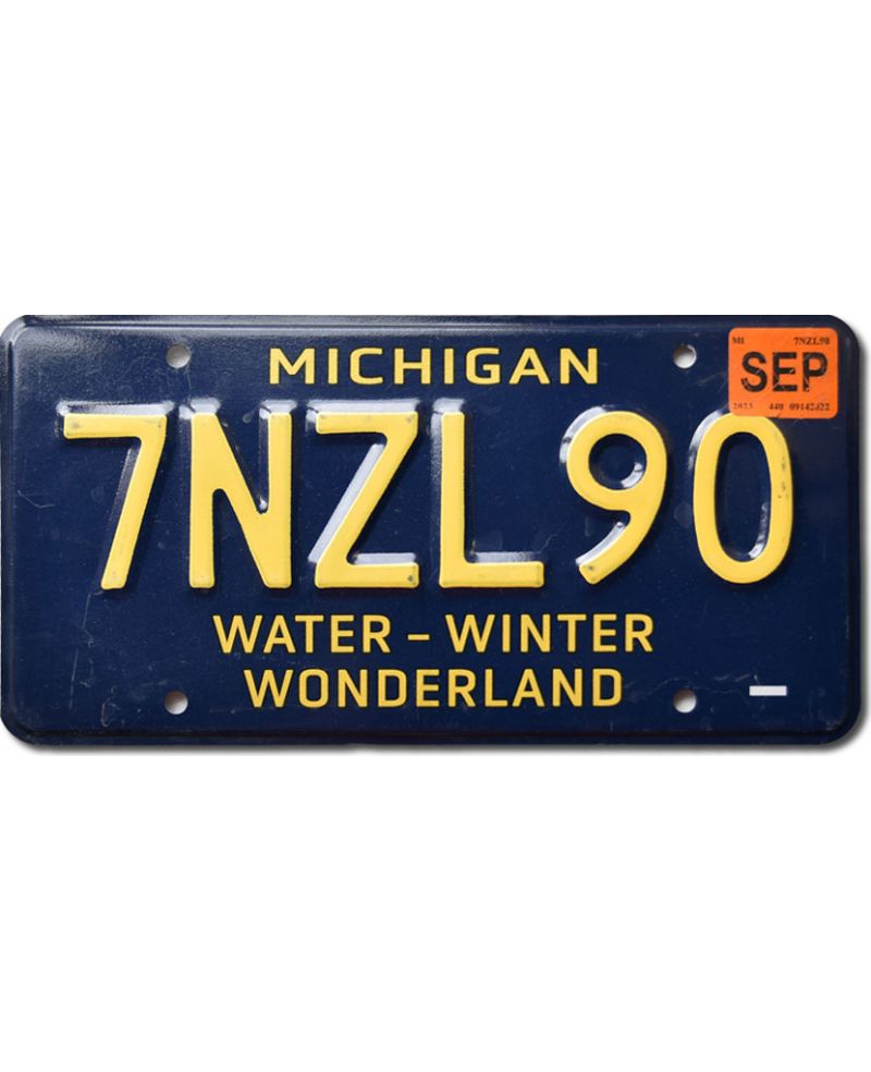 Tablica rejestracyjna USA Michigan Water Wonderland 7NZL90