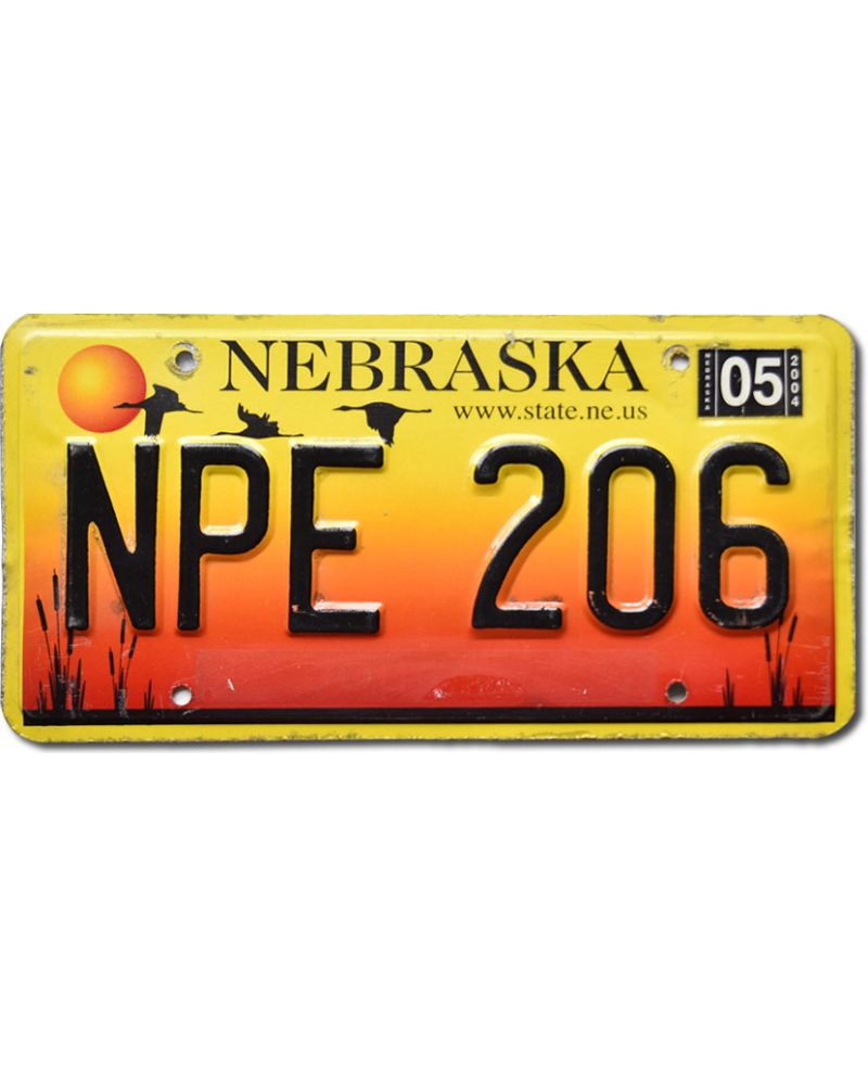 Tablica rejestracyjna USA Nebraska 2004 Sandhill Crane NPE 206