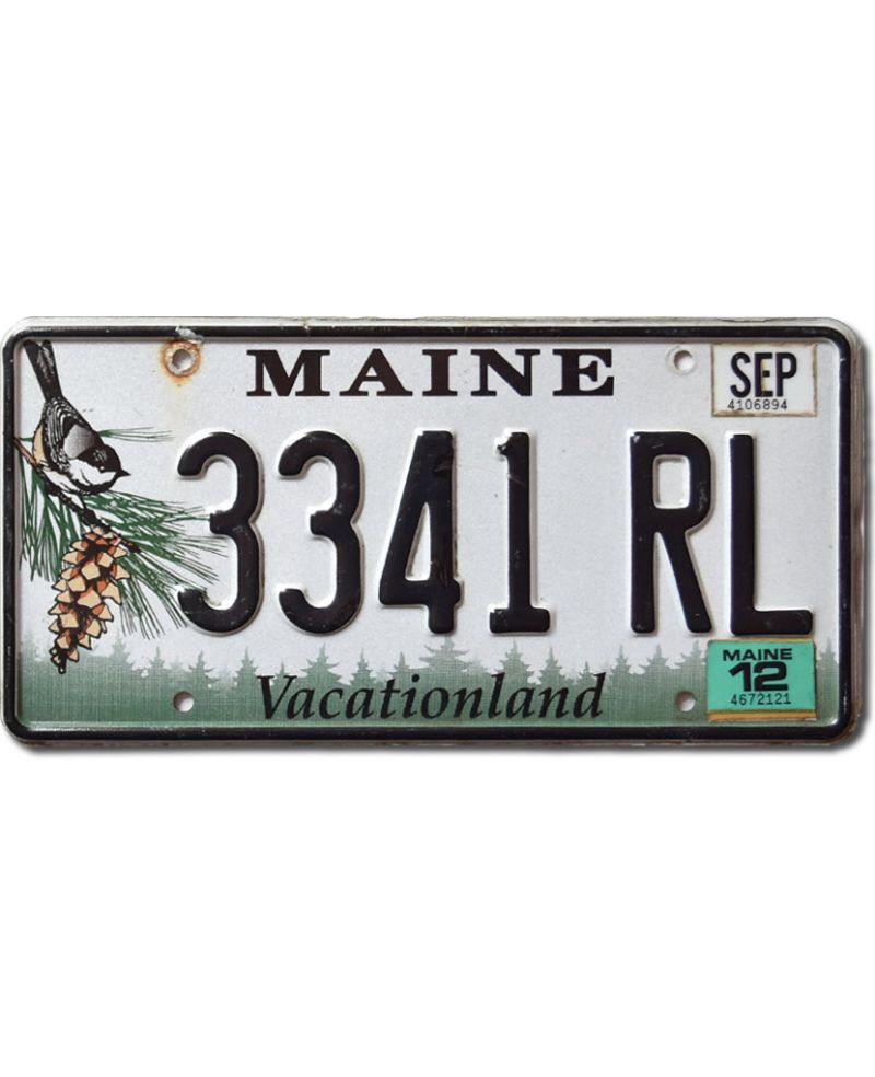 Tablica rejestracyjna USA Maine Chickadee 3341 RL