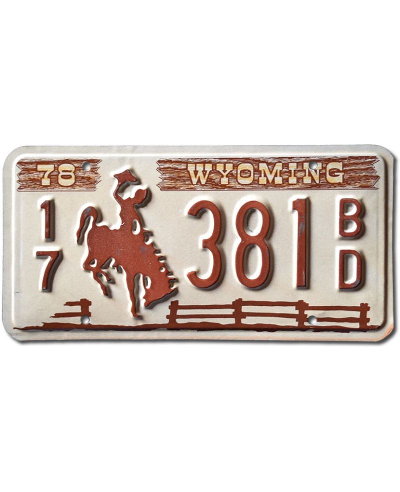 Tablica rejestracyjna USA Wyoming Fence Brown 17-381BD