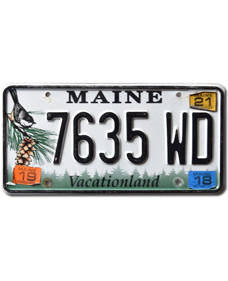 Tablica rejestracyjna USA Maine Chickadee 7635 WD