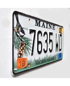 Tablica rejestracyjna USA Maine Chickadee 7635 WD