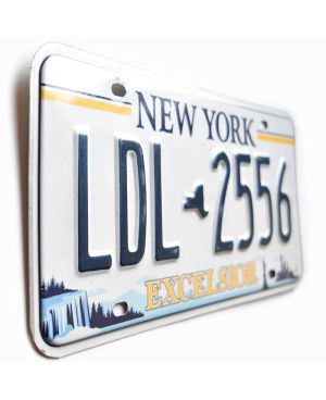 Americká SPZ New York Excelsior LDL 2556