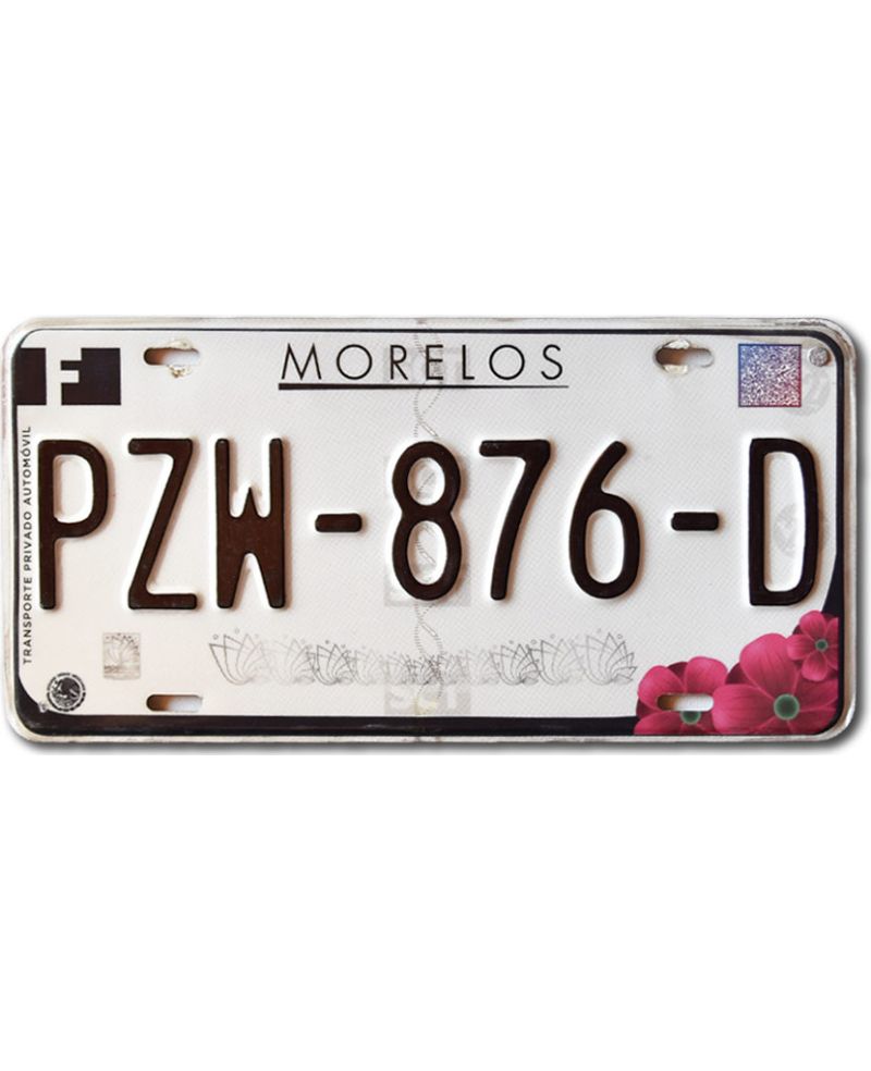 Mexická SPZ Morelos PZW-876-D