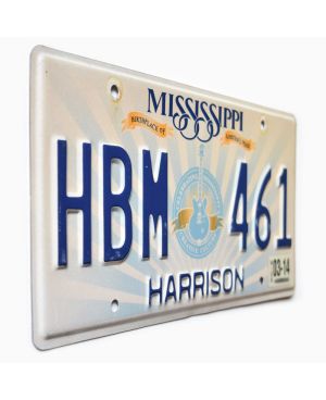 Tablica rejestracyjna USA Mississippi Lucille Guitar