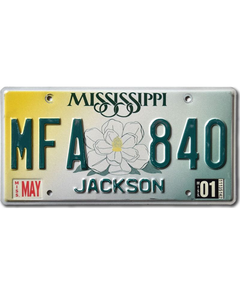 Tablica rejestracyjna USA Mississippi Magnolia