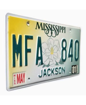 Tablica rejestracyjna USA Mississippi Magnolia