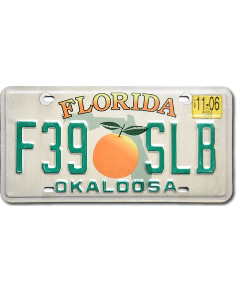 Tablica rejestracyjna USA Florida Orange