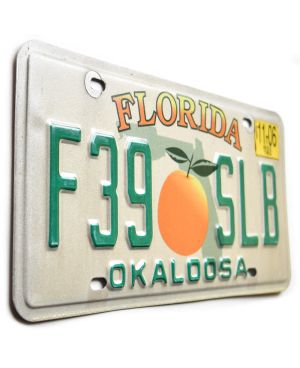 Tablica rejestracyjna USA Florida Orange