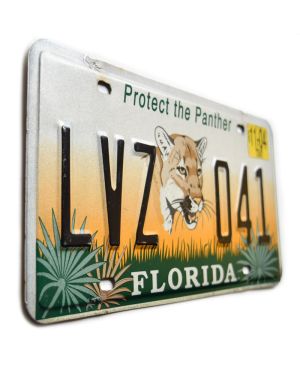 Americká SPZ Florida Protect the Panther LVZ 041