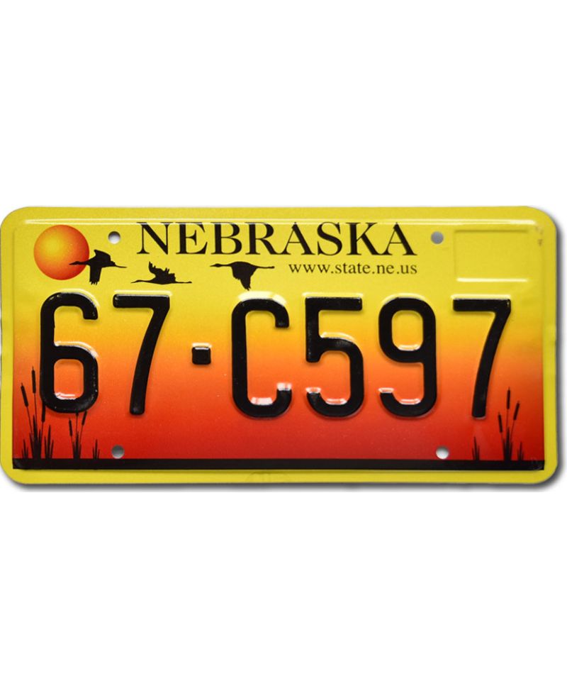 Tablica rejestracyjna USA Nebraska Sandhill Crane 67-C597