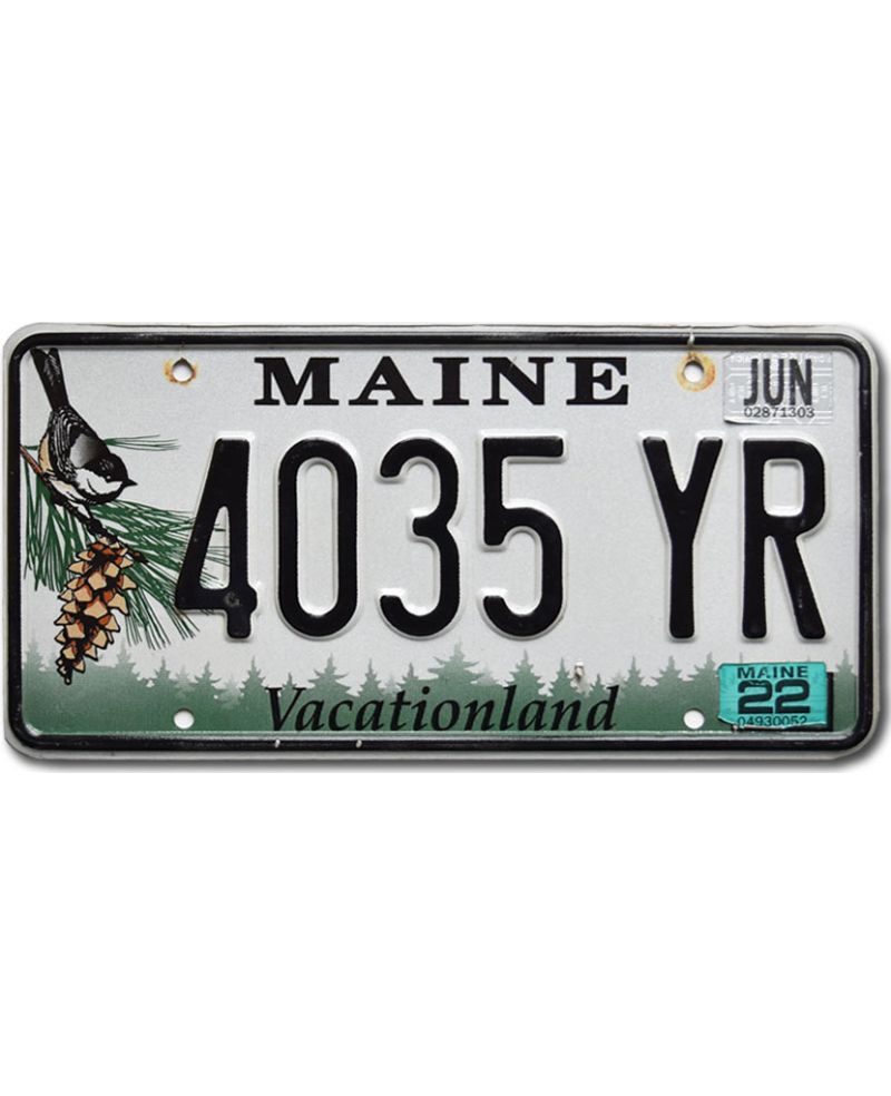 Tablica rejestracyjna USA Maine Chickadee 4035 YR
