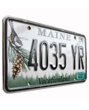 Tablica rejestracyjna USA Maine Chickadee 4035 YR