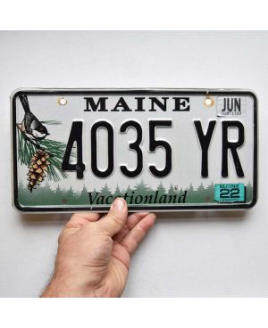Tablica rejestracyjna USA Maine Chickadee 4035 YR