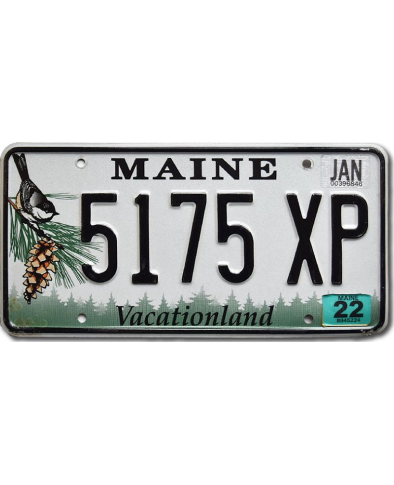 Tablica rejestracyjna USA Maine Chickadee 5175 XP