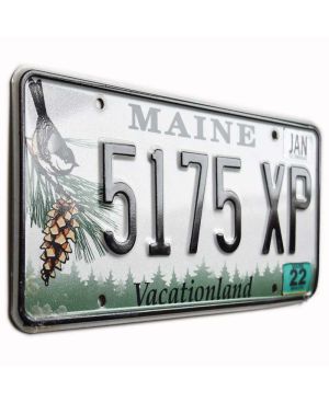 Tablica rejestracyjna USA Maine Chickadee 5175 XP