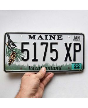 Tablica rejestracyjna USA Maine Chickadee 5175 XP