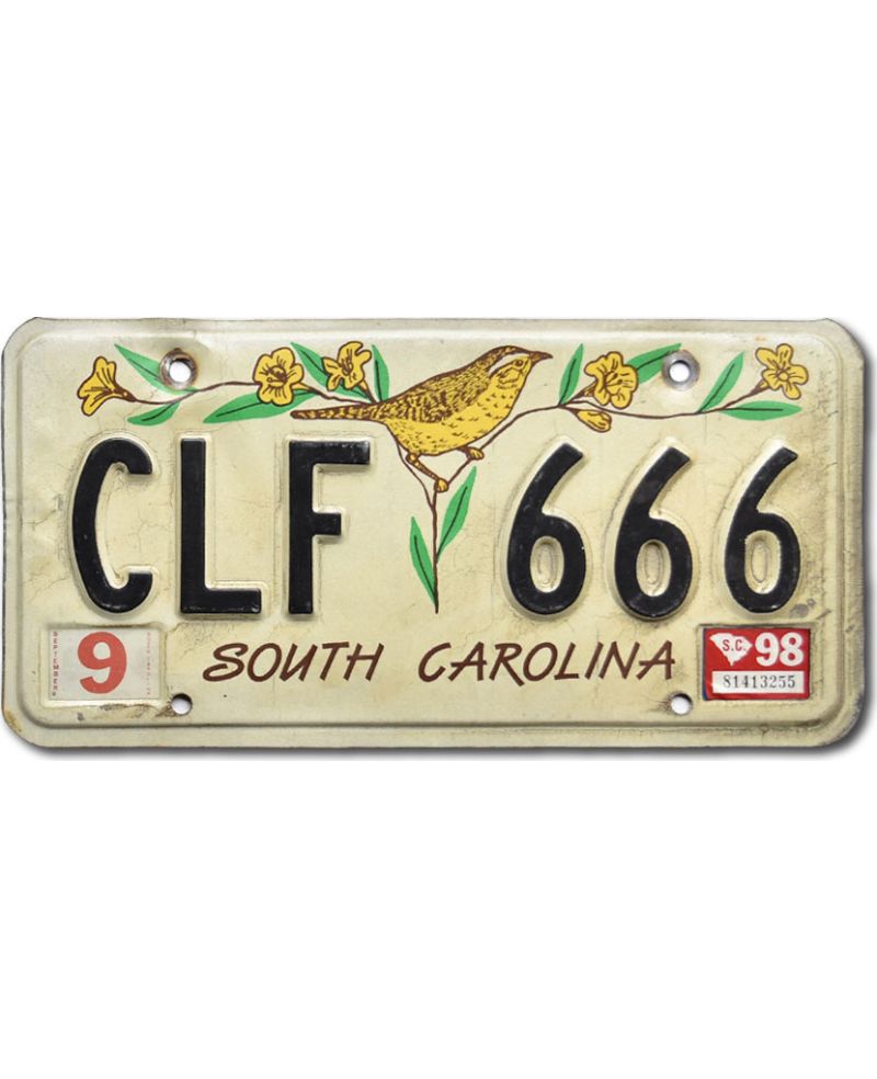 Tablica rejestracyjna USA South Carolina Bird CLF 666