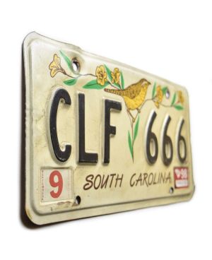 Tablica rejestracyjna USA South Carolina Bird CLF 666