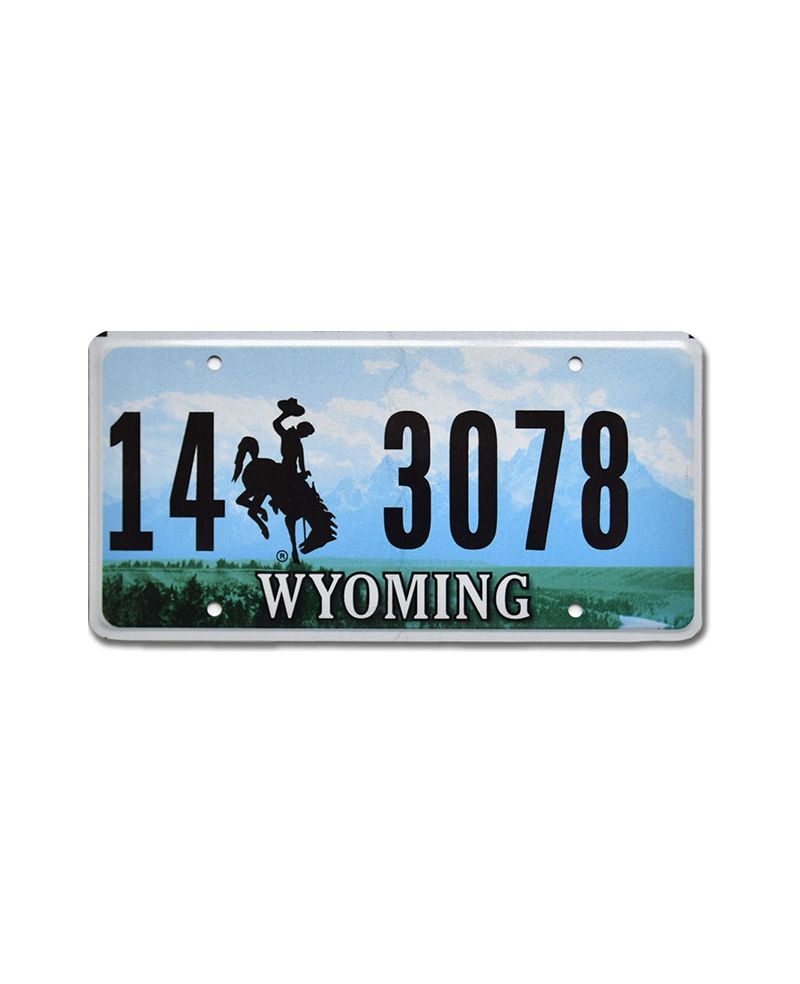 Tablica rejestracyjna USA Wyoming Green Landscape