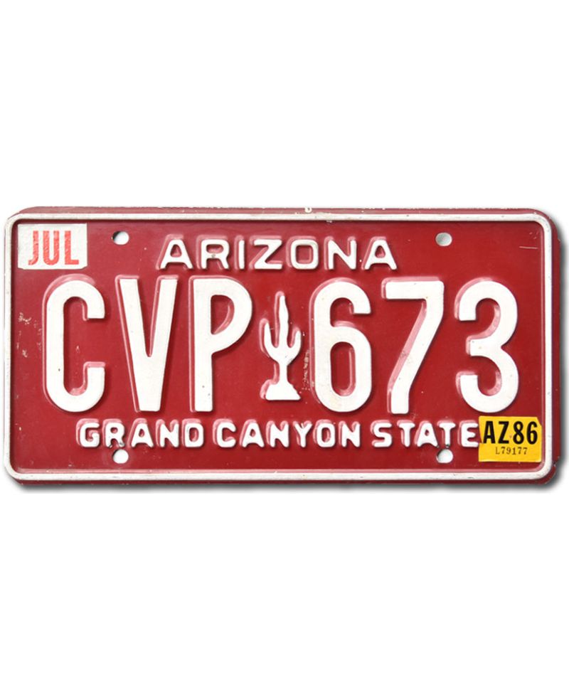 Tablica rejestracyjna USA Arizona Red Cactus CVP 673