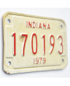 Motocyklowa Tablica Rejestracyjna USA Indiana 170193