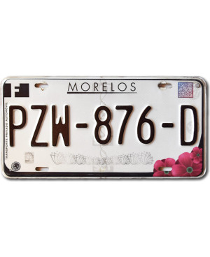 Meksykańska tablica rejestracyjna Morelos PZW-876-D