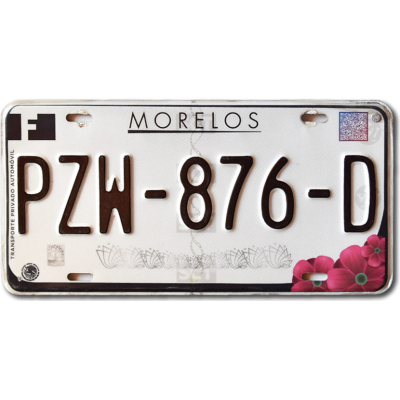Meksykańska tablica rejestracyjna Morelos PZW-876-D