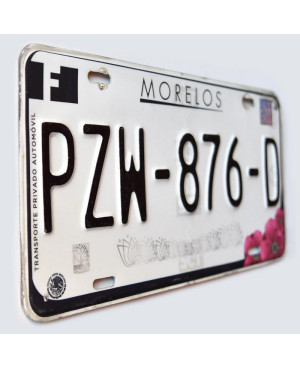 Meksykańska tablica rejestracyjna Morelos PZW-876-D