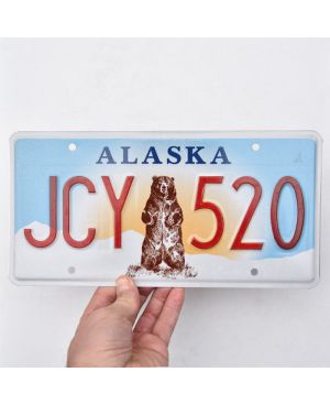 Americká SPZ Alaska Grizzly Bear JCY 520