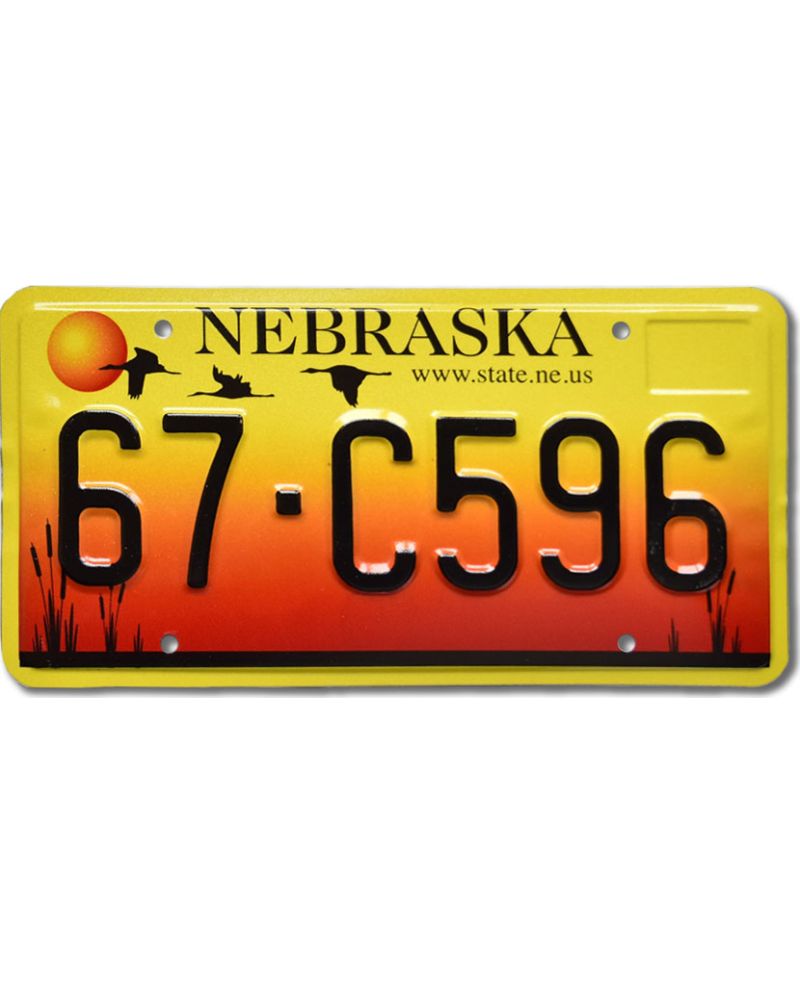 Tablica rejestracyjna USA Nebraska Sandhill Crane 67-C596