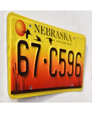Tablica rejestracyjna USA Nebraska Sandhill Crane 67-C596