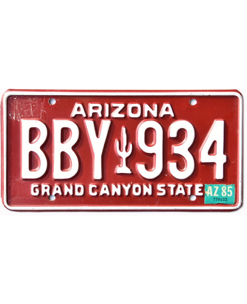 Americká SPZ Arizona Red Cactus BBY 934