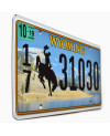 Tablica rejestracyjna USA Wyoming Country
