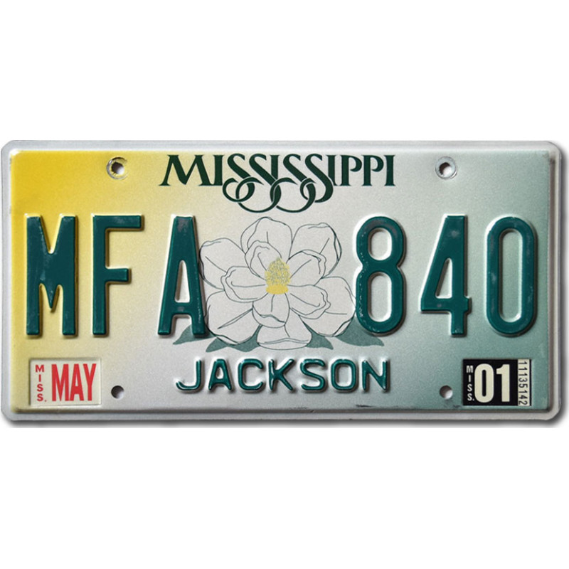 Tablica rejestracyjna USA Mississippi Magnolia