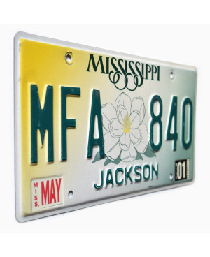 Tablica rejestracyjna USA Mississippi Magnolia