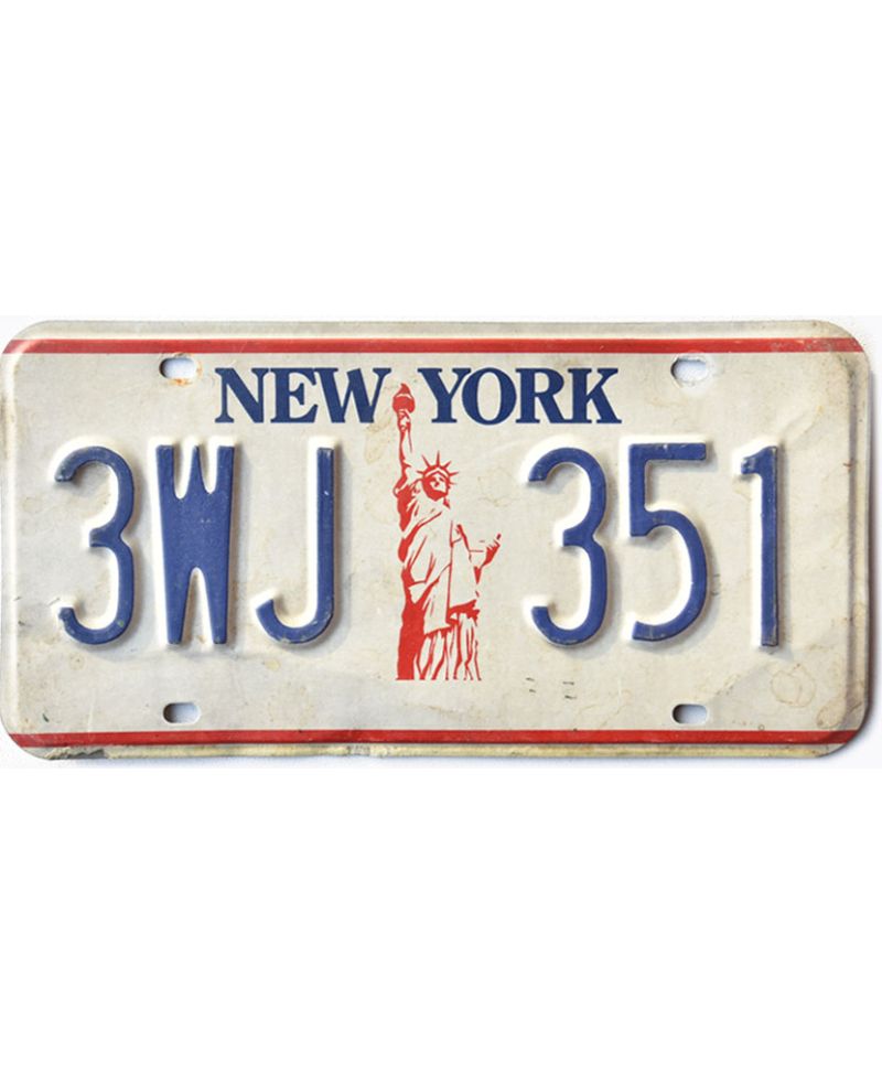 Tablica rejestracyjna USA New York Liberty 3WJ 351