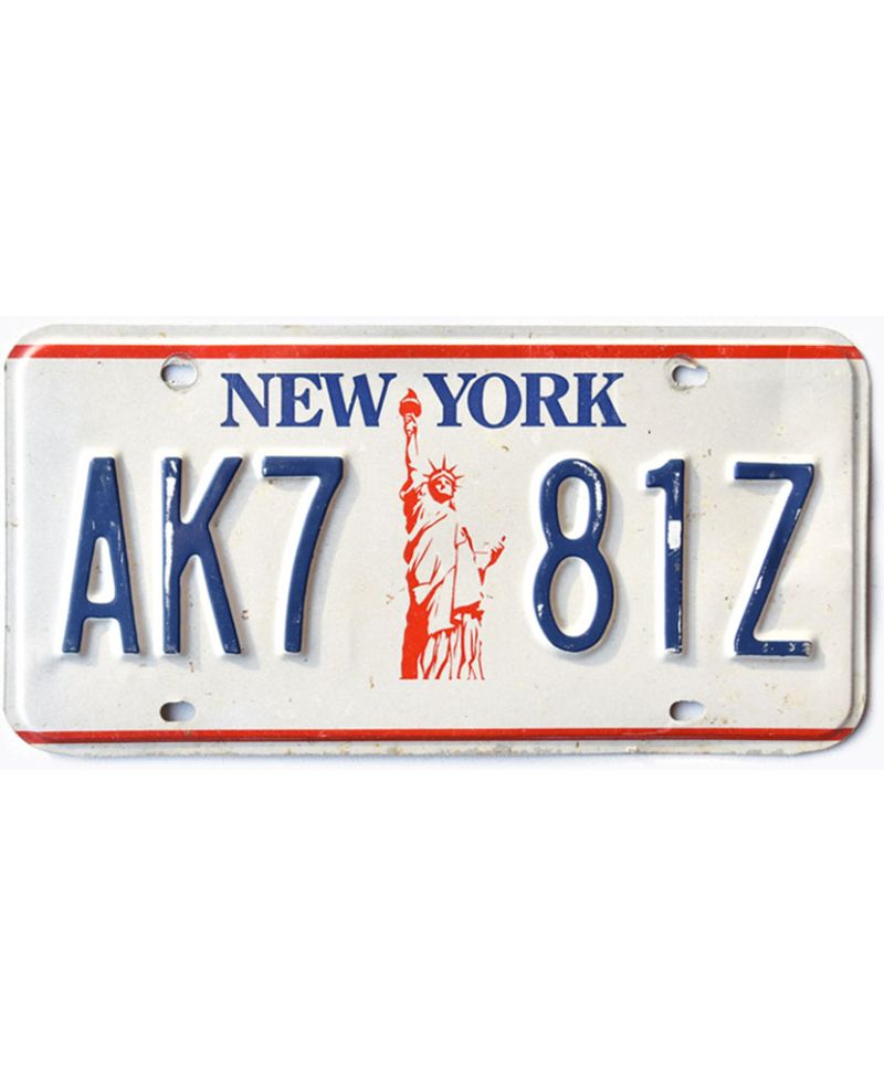 Tablica rejestracyjna USA New York Liberty AK7 81Z