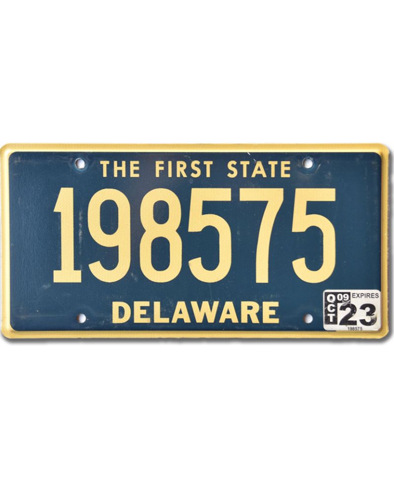 Americká SPZ Delaware The First State Blue 198575