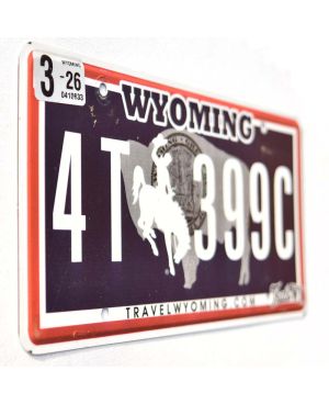 Tablica rejestracyjna USA Wyoming Black Bison