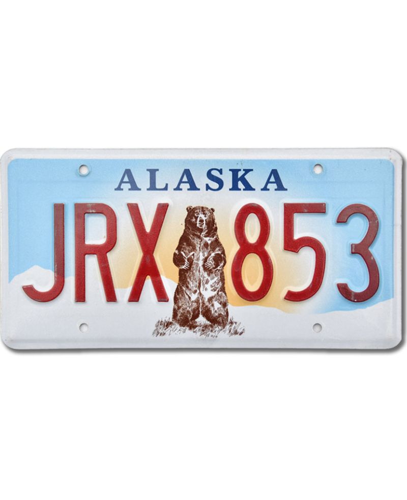 Tablica rejestracyjna USA Alaska Grizzly Bear JRX 853